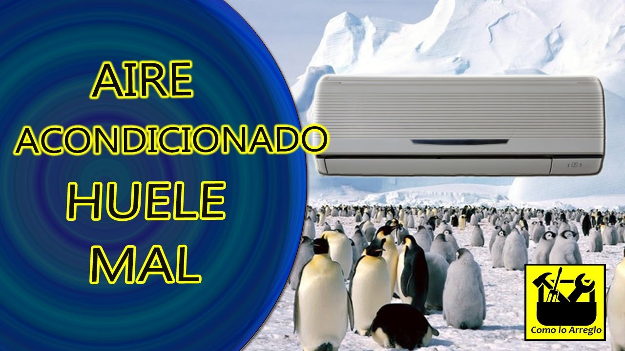 Por qué el gas del aire acondicionado puede tener olor y cómo solucionarlo 1 el gas del aire acondicionado tiene olor